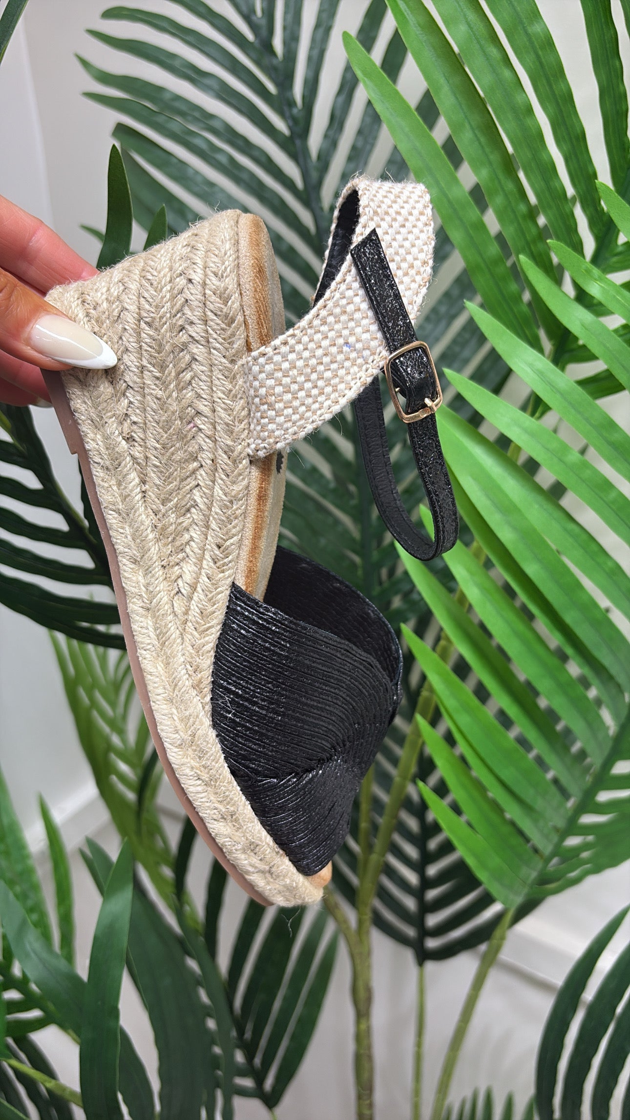 Angel Wedges - Black